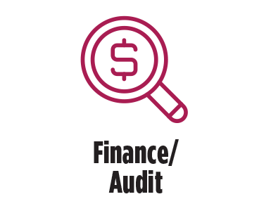 Join The Board 2 Board Skills Finance and Audit
